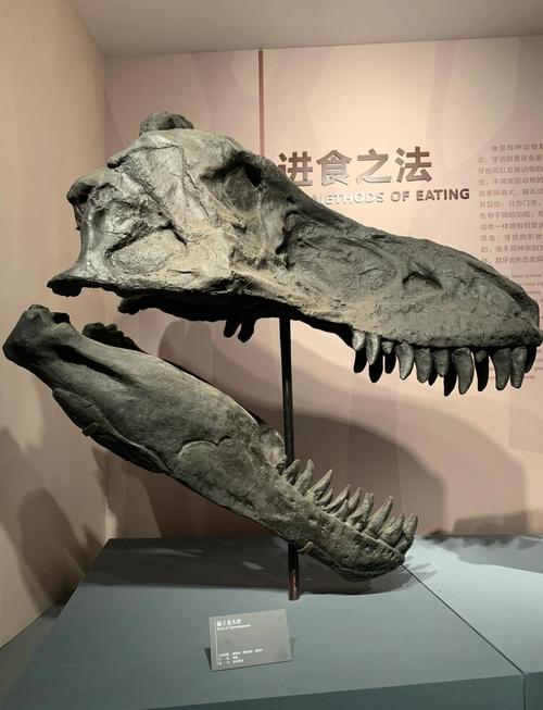 自贡恐龙博物馆附近美食
