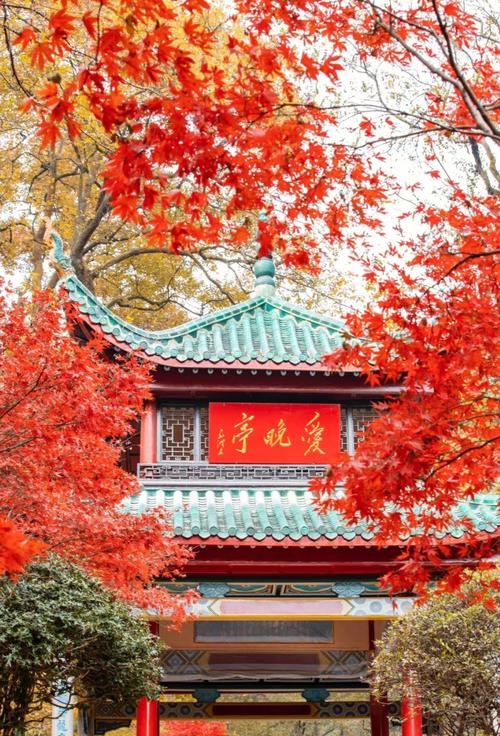 长沙市区有什么好玩的旅游景点