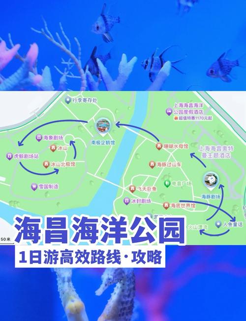 上海海昌海洋公园攻略一日游