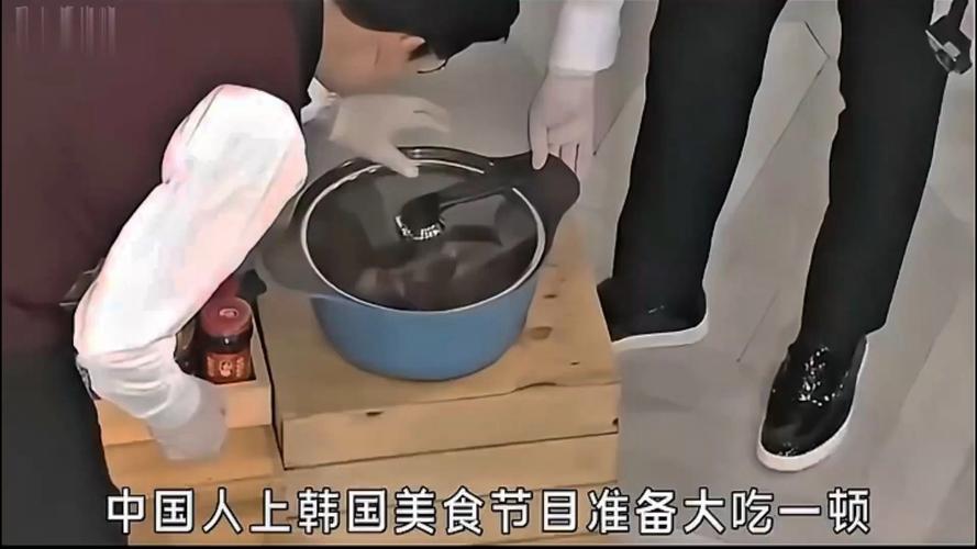 韩国介绍中国美食的节目