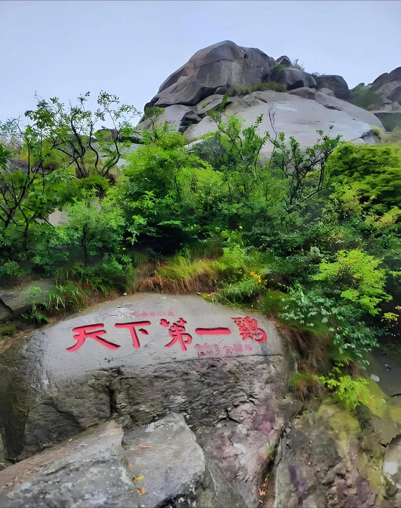 信阳附近的旅游景点有哪些地方