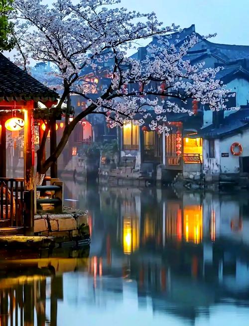 嘉兴附近好玩的旅游景点有哪些