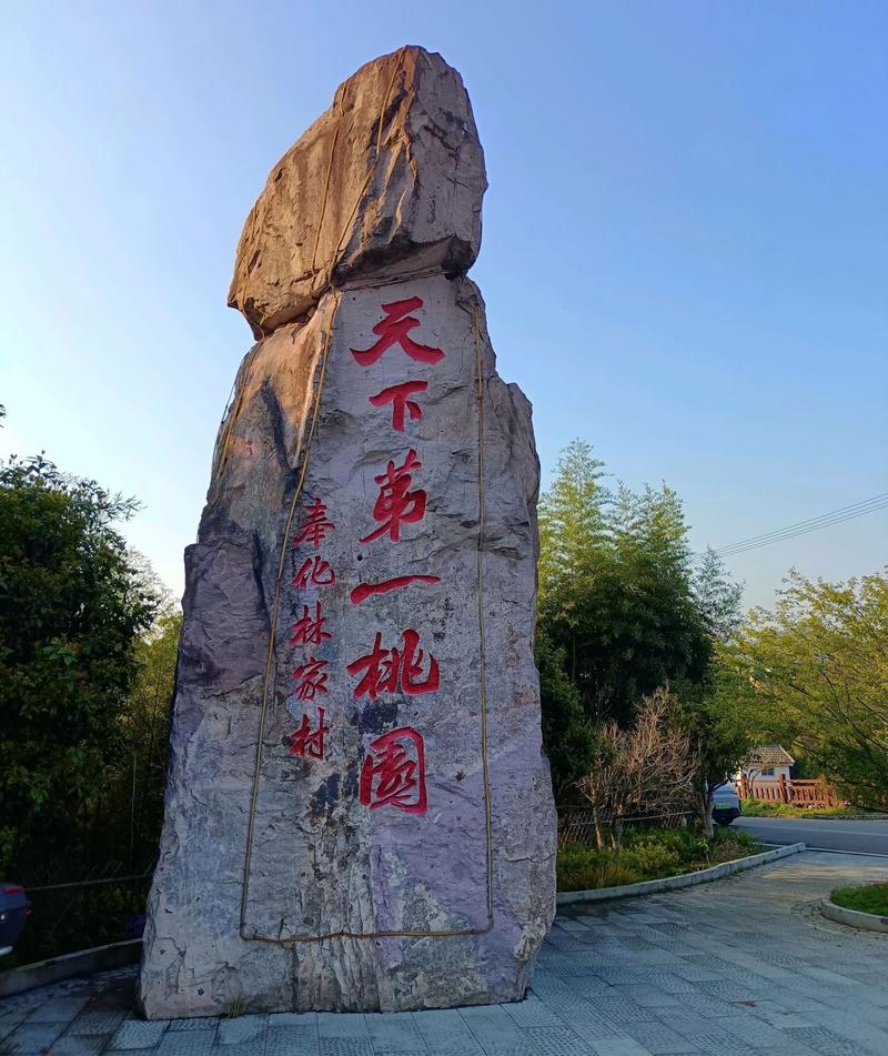 奉化有什么好玩的地方旅游景点