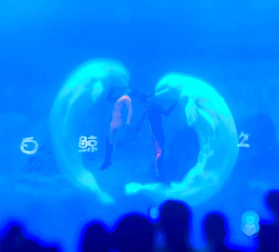 天津海昌极地海洋世界攻略