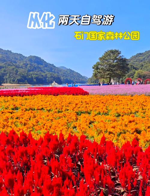 石门国家森林公园旅游攻略