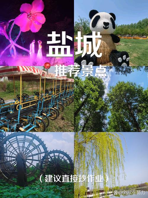 江苏盐城旅游景点大全景点排名