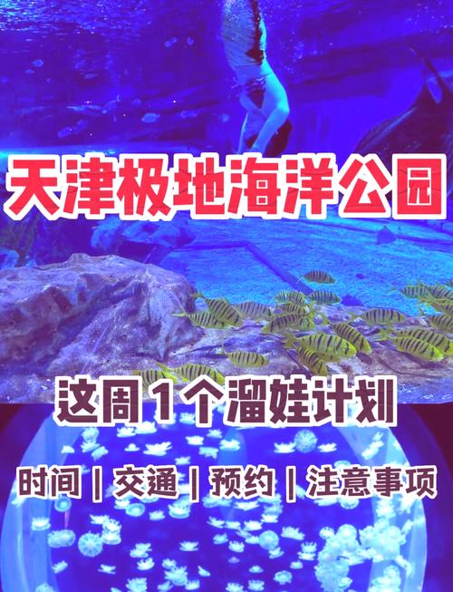 天津极地海洋公园游玩攻略