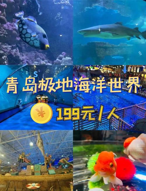 青岛极地海洋世界游玩攻略