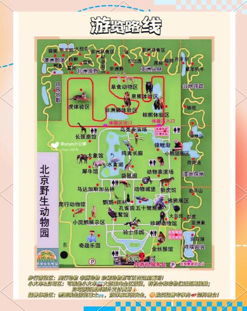 北京八达岭野生动物园攻略