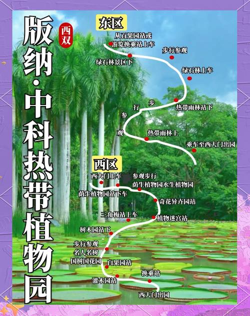 西双版纳中科院植物园攻略