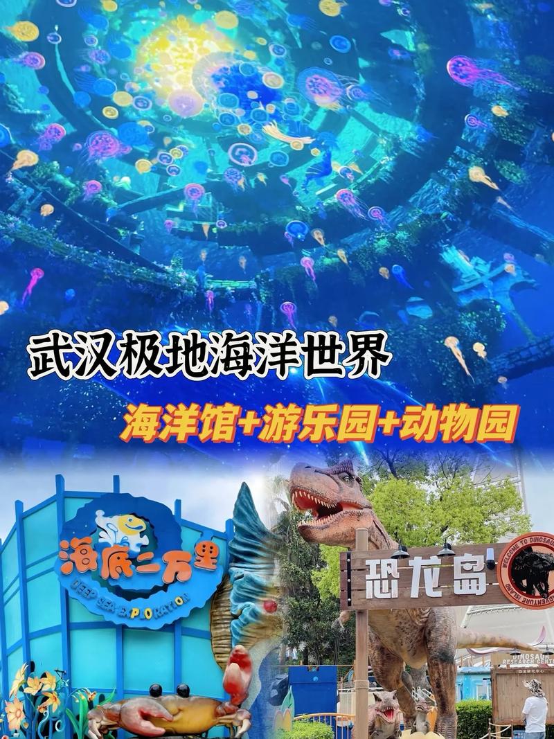 武汉极地海洋公园游玩攻略
