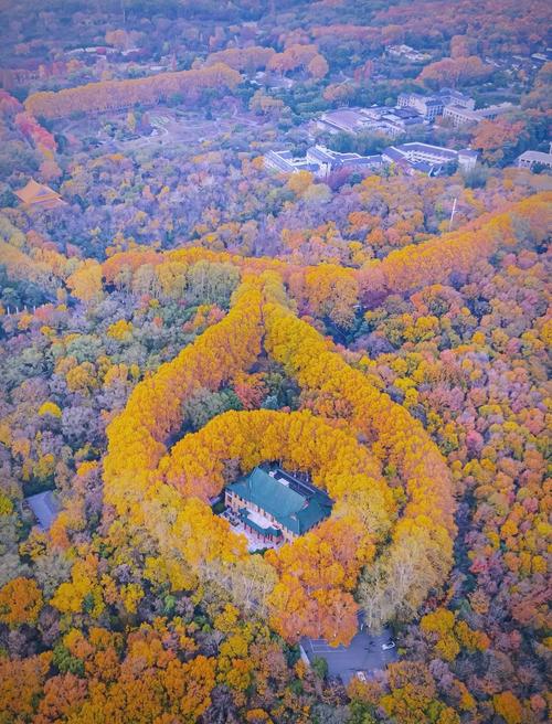 南京秋天旅游攻略景点必去