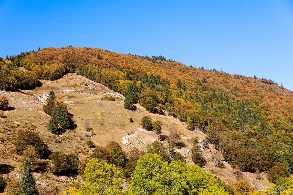 牡丹江东京城旅游景点有哪些