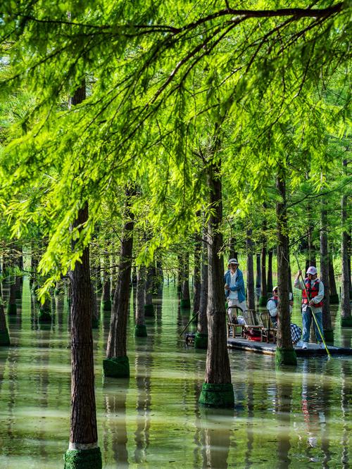 宿迁周边城市有什么旅游景点