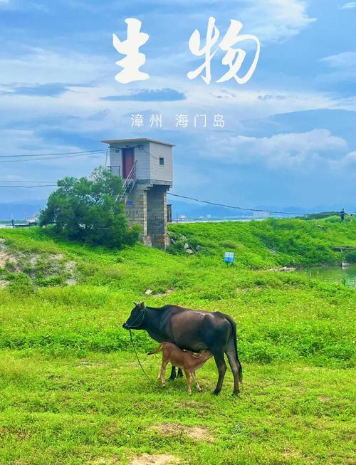 海门岛自驾游一日游攻略