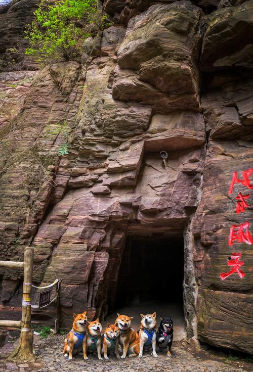 河南太行山附近旅游景点大全