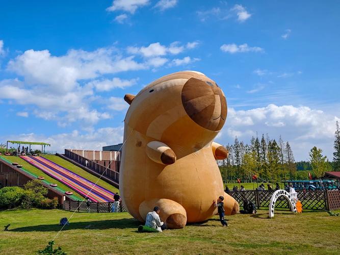 黄海森林公园一日游攻略