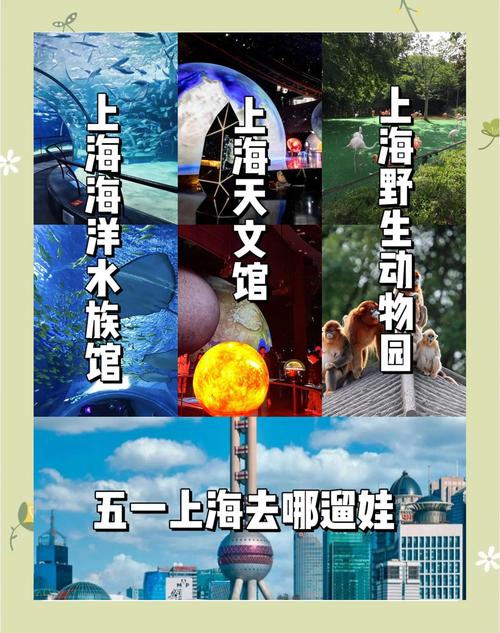 带孩子去上海一日游攻略