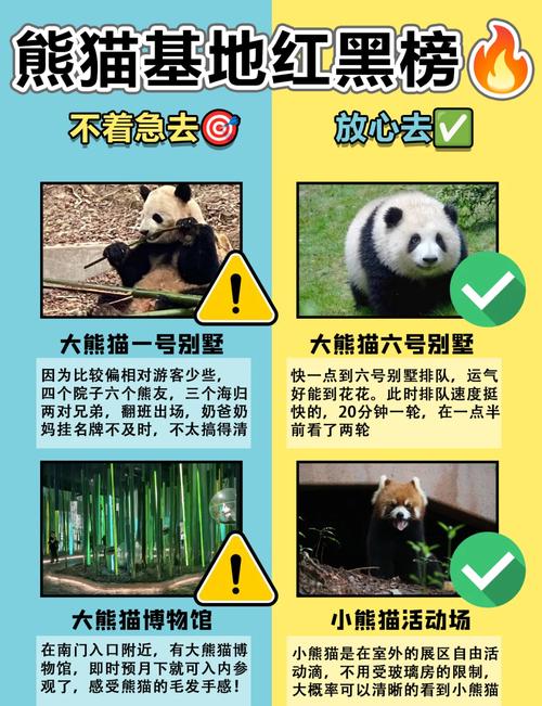 成都熊猫基地美食攻略