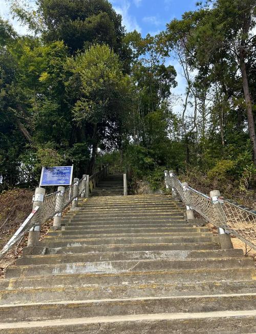 从化流溪河森林公园攻略