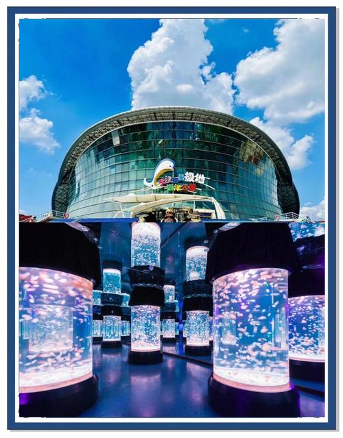 天津极地海昌海洋馆攻略