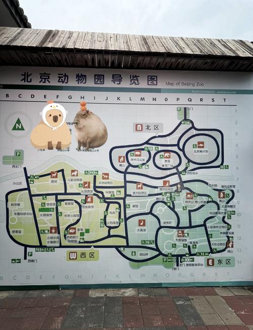 北京动物园附近游玩攻略