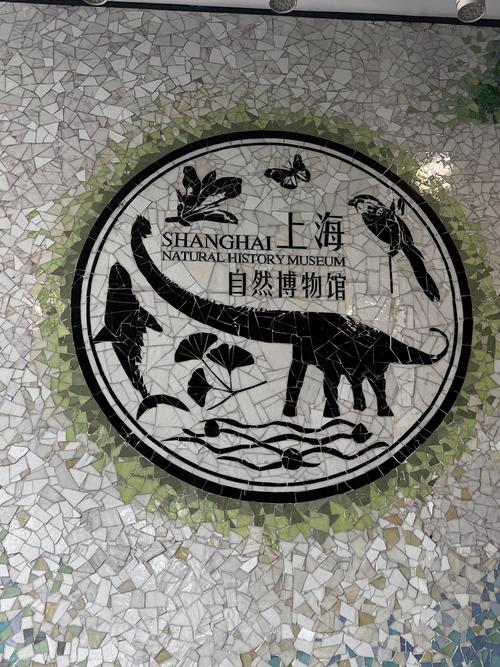 上海自然博物馆停车攻略