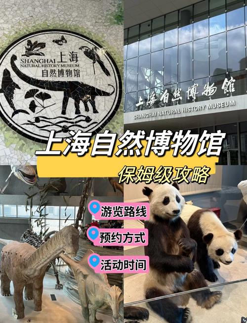 上海自然博物馆停车攻略