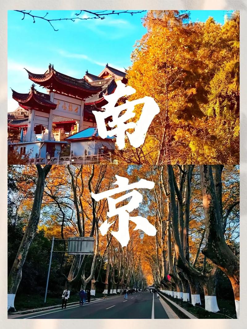 2025南京免费旅游景点