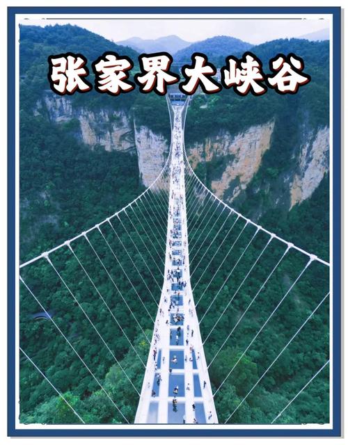 张家界大峡谷一日游攻略