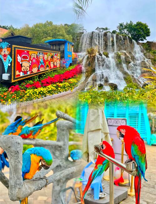 深圳东部华侨城旅游攻略