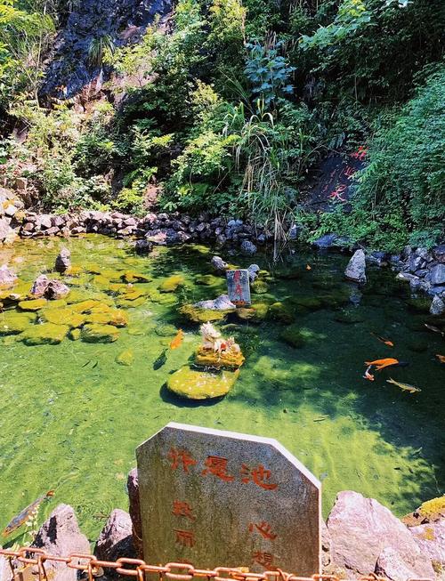 衢州市内旅游景点哪里好玩