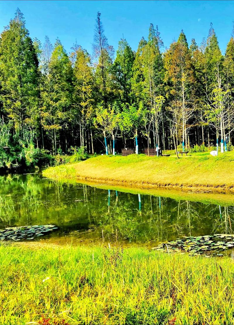 盐城东台旅游景点大全排名