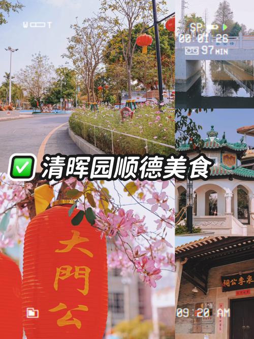 大良美食城在什么地方