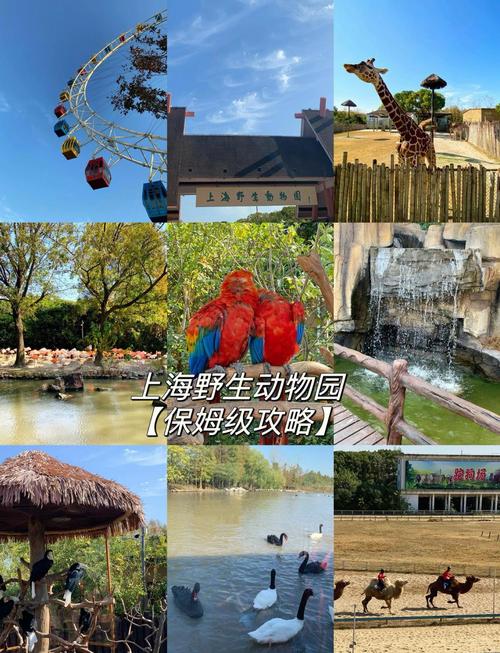 上海野生动物园旅游攻略
