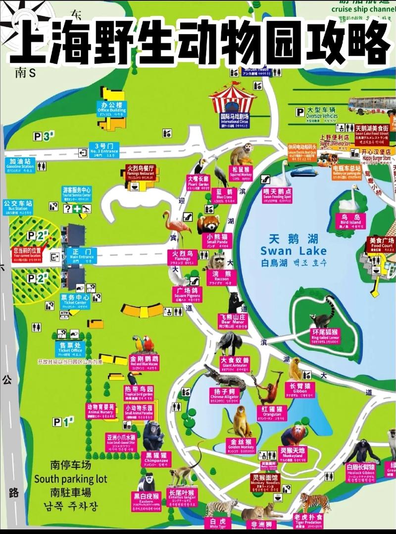 上海野生动物园旅游攻略