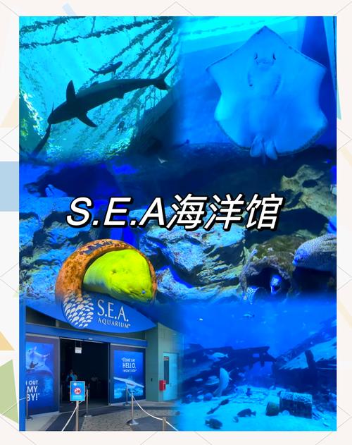 新加坡sea海洋馆攻略