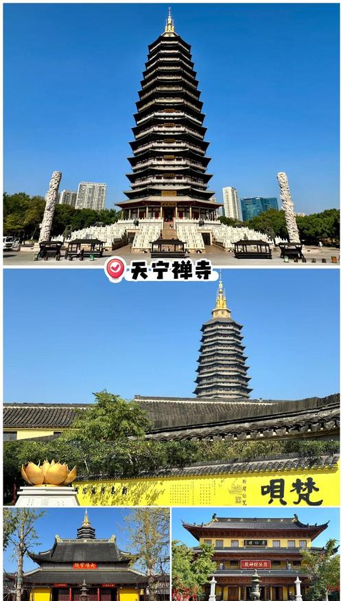 常州旅游景点排行榜前十名