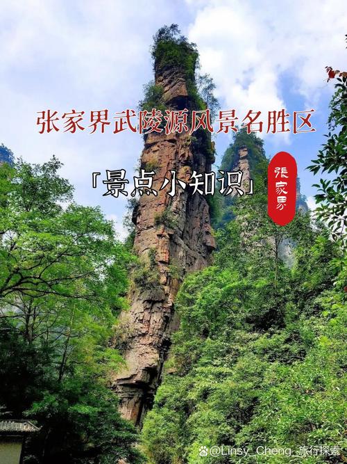 九江武陵县有什么旅游景点