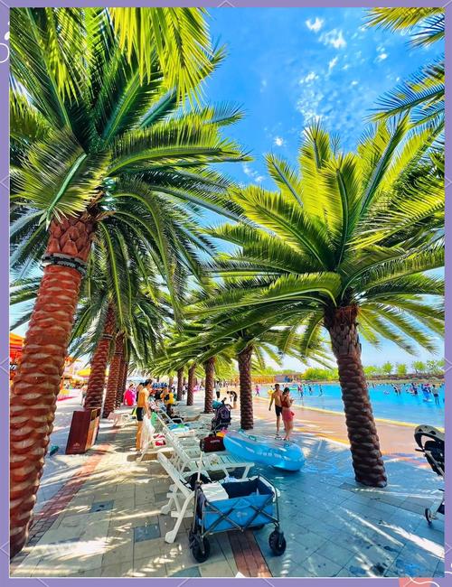 天津玛雅海滩水公园攻略