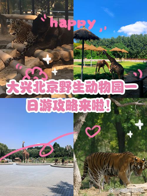 北京大兴野生动物园攻略