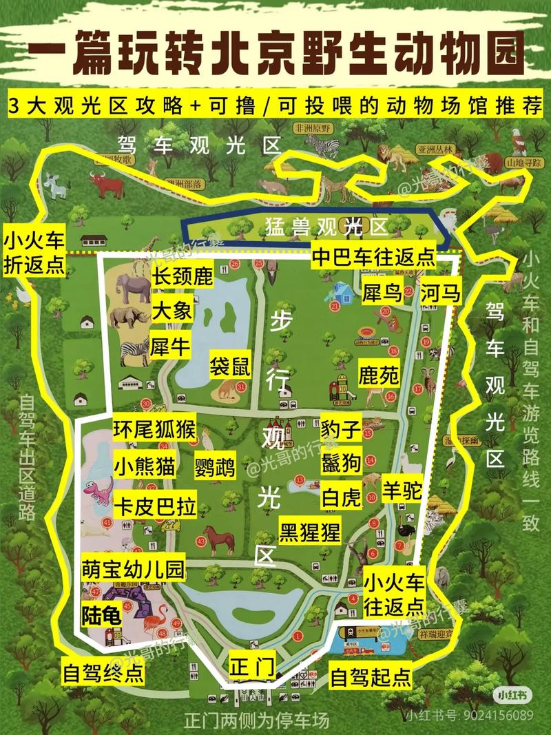 北京野生动物园旅游攻略