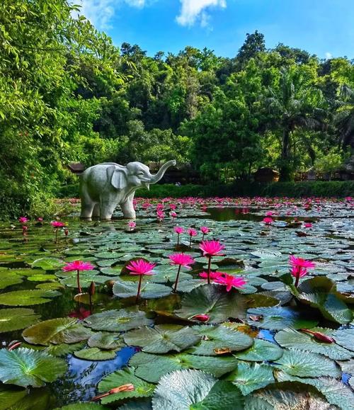 西双版纳野象谷旅游攻略