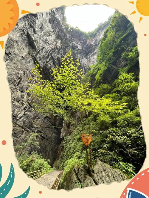 重庆武隆仙女山旅游攻略