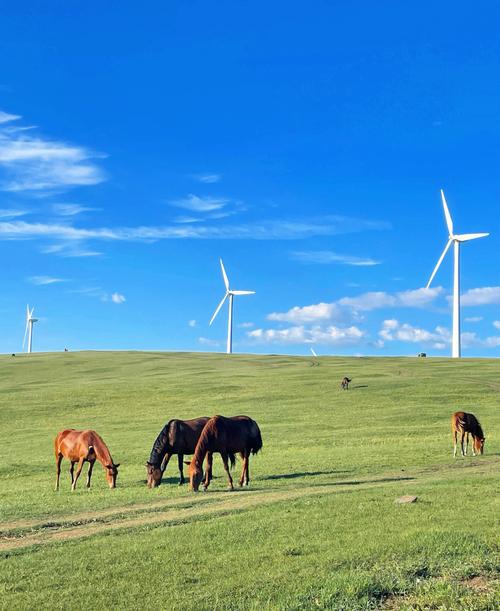 乌兰察布市附近的旅游景点