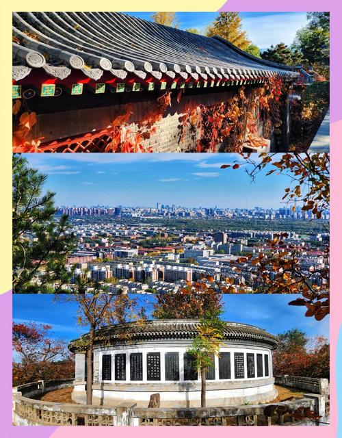 百望山森林公园游玩攻略