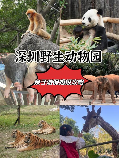 深圳野生动物园旅游攻略