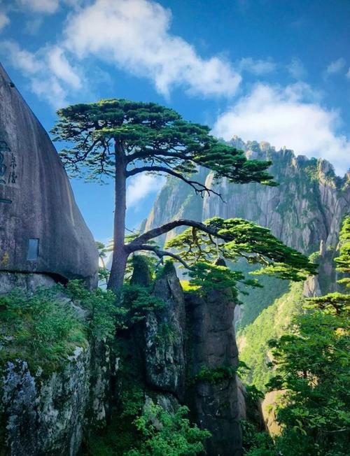 中国有哪些好玩的旅游景点