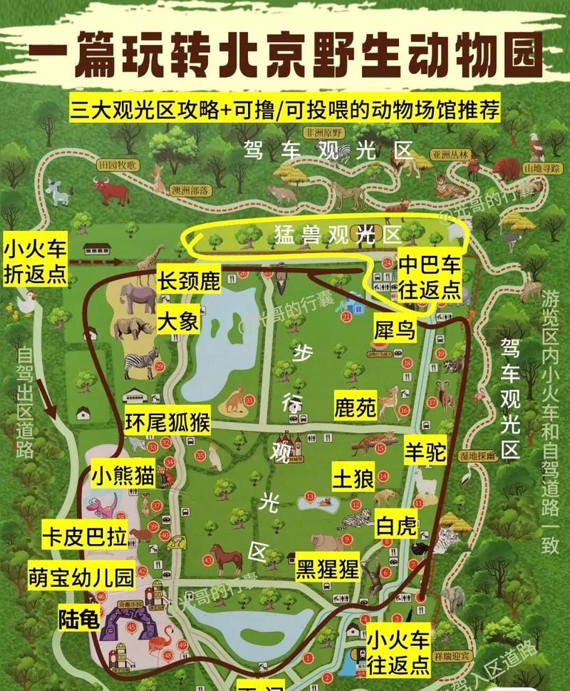 北京野生动物园自驾攻略