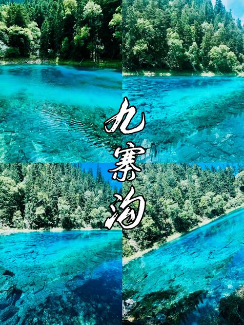 重庆成都九寨沟旅游攻略